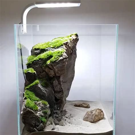 Layout Aquascape Design Ideas Aquascape Ideas