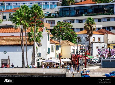 Scenic view of the small fishing village of Câmara de Lobos in Madeira