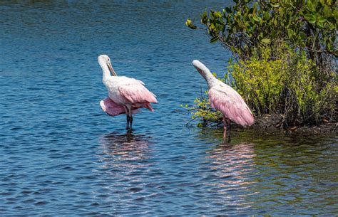 Merritt Island National Wildlife Refuge