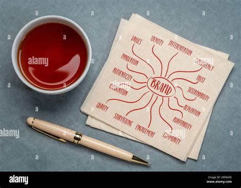 Brand Infographics Or Mind Map Sketch On A Napkin Business Branding