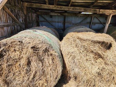 10 Total Bales 9 Bales Of 1st 2nd And 3rd Cutting Alfalfa Bales