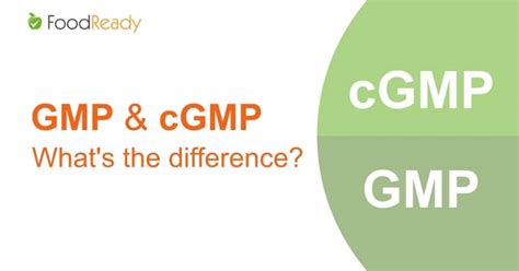 Cgmp Vs Gmp What S The Difference