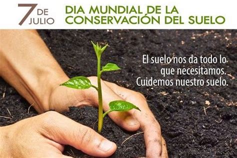 ¿por Qué Se Celebra Hoy El Día Mundial De La Conservación Del Suelo