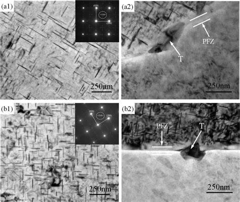 Tem Bright Field Images And Corresponding Saed Pattern Showing Matrix