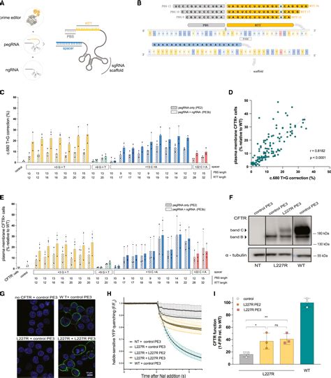 Prime Editing Functionally Corrects Cystic Fibrosis Causing Cftr