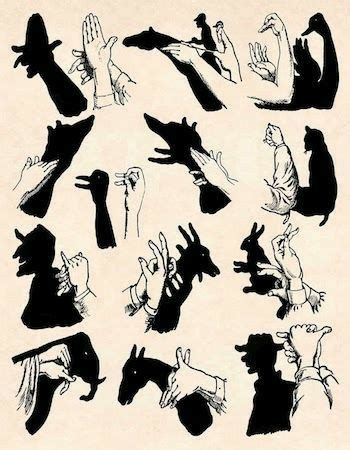 Pin By Elena Ivan On Idei De Ncercat Hand Shadows Shadow Puppets