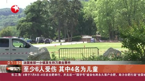 法国南部一小镇发生持刀袭击事件 至少6人受伤 其中4名为儿童 手机新浪网