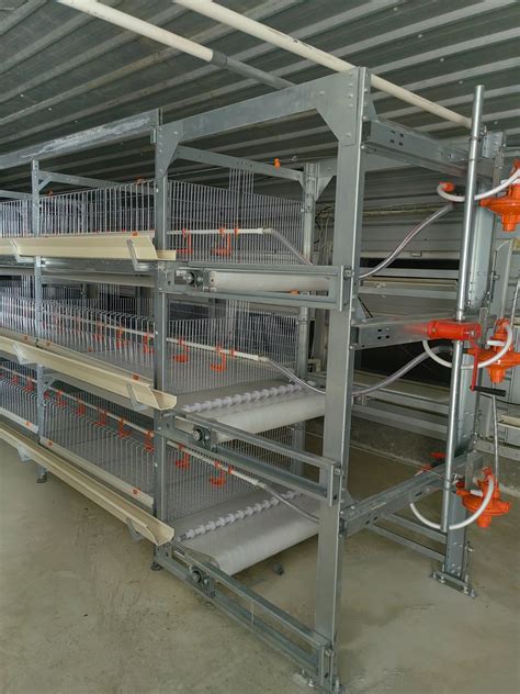 High Quality Automatic Broiler Chicken Cage Equipment China Steel