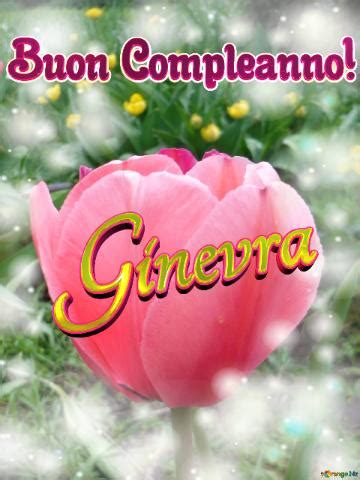 Buon Compleanno Ginevra Immagine Libera