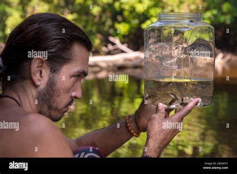 Biodiversity Specimens Hi Res Stock Photography And Images Alamy