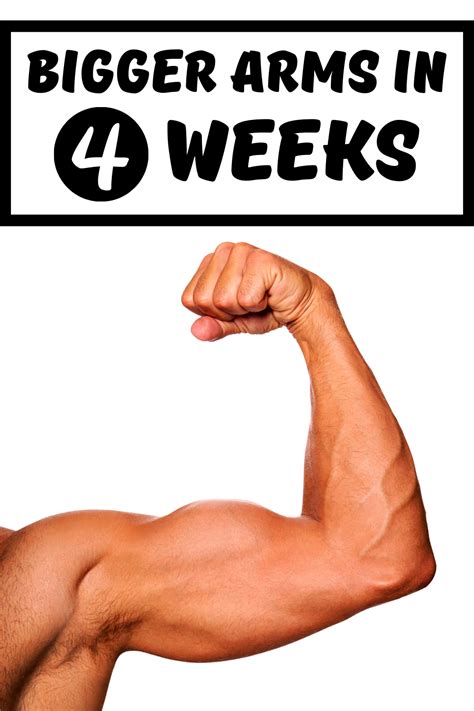 How To Get Bigger Arms In Four Weeks Follow This Workout Plan Get Bigger Arms Arms Workout