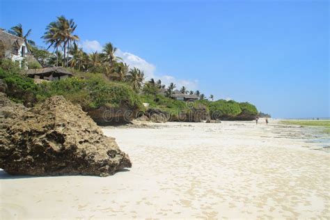 Coast Of The Indian Ocean Low Tide White Sand And Palm Trees The