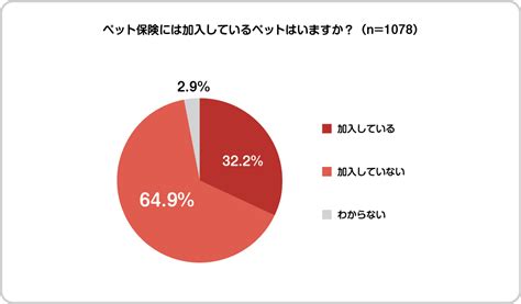 【ペット調査2022】ペットとのライフスタイルに関する調査を実施 Newscast