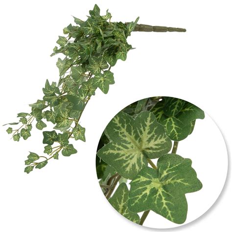 Mini Trailing English Ivy Bush Hobby Lobby 769141