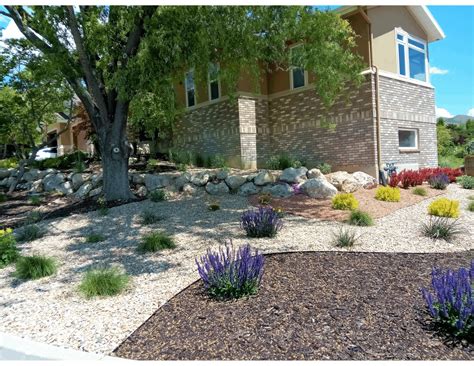 Drought-Resistant Landscaping Solutions: Your Ultimate Guide to Low