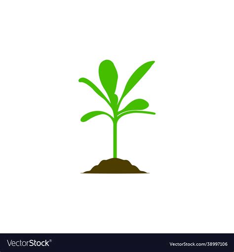 Growing Plant Biology Seed Logo Design Royalty Free Vector