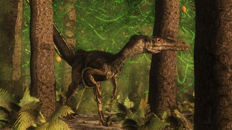 Facts About The Velociraptor Dinosaur