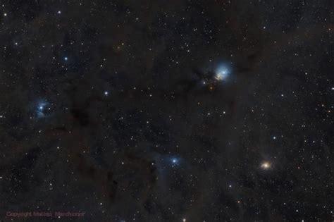 Ngc 1333 A Stellar Nursery In The Perseus Molecular Cloud Matteo