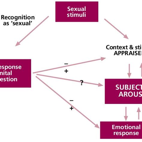 Model Of Sexual Arousal Download Scientific Diagram