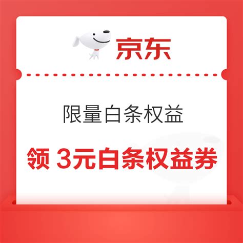 支付京东 限量白条权益 领11 4元白条权益券 什么值得买