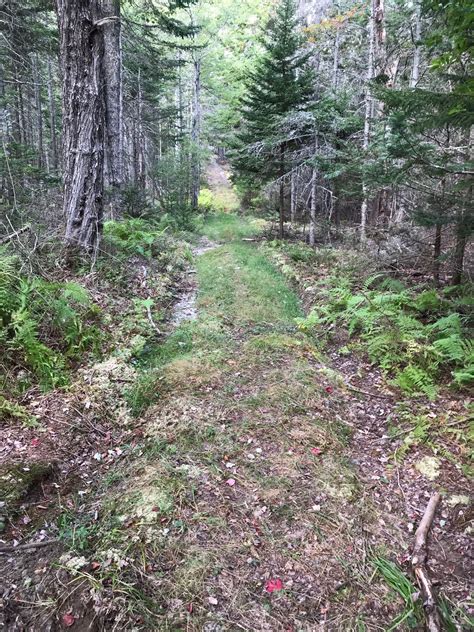 Mills Cemetery In Vinalhaven Maine Find A Grave Cemetery