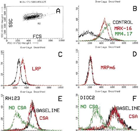 Figure From Frequency And Clinical Significance Of The Expression Of