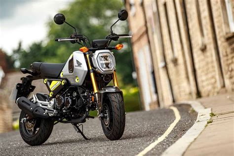 The 20 Best Mini Bikes You Can Buy Right Now