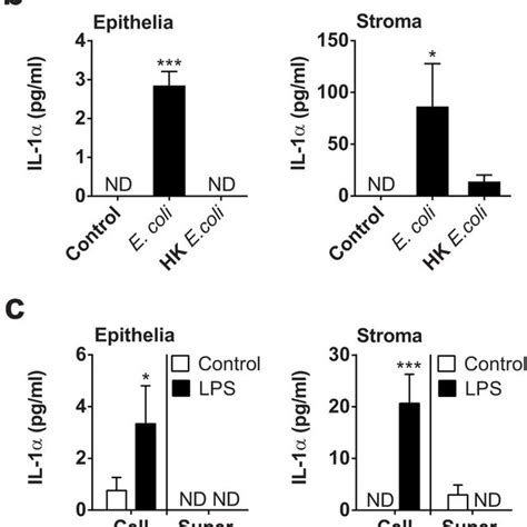 Endometrial Cellular Responses To Il 1α Endometrial Epithelial And