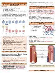 Hema M Pdf Hematology Blood Vasculature Megakaryocytes And