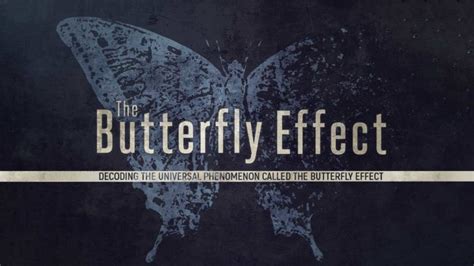 [voxspace Life] The Butterfly Effect Understanding The Phenomenon