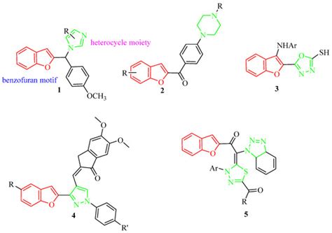 IJMS Free Full Text Discovery Of New Heterocyclic Benzofuran