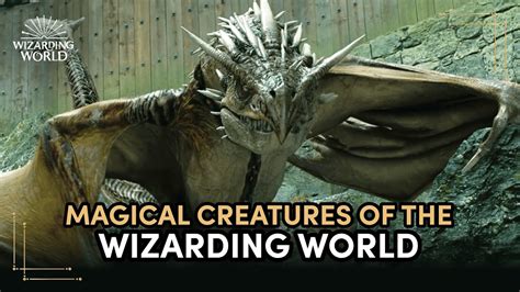 Magical Creatures Of The Wizarding World Discover Harry Potter Ep