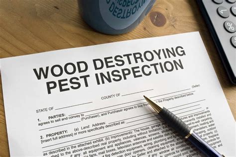 Wood Destroying Insect Inspections Reports FullScope