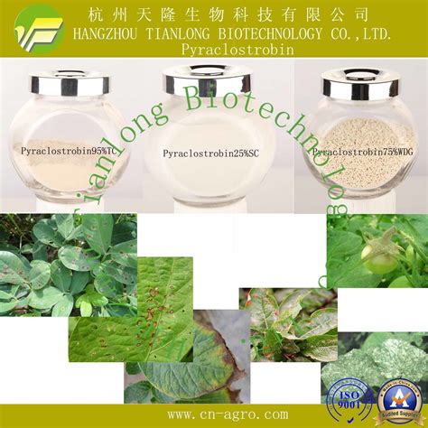 Good Quality Fungicide Pyraclostrobin 95 TC 12 5 SC 25 SC 75 WDG