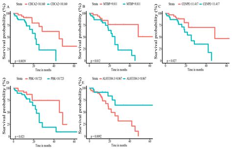 Genome Wide Analysis Of LncRNAs MiRNAs And MRNAs Forming A Prognostic