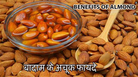 Badam khane ke fayde बदम खन क फयद Benefits of Almond YouTube