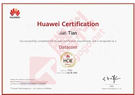 Hcie Datacom课程简介