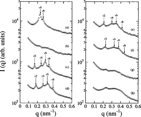 One Dimensional Saxs Profiles Reduced From The 2d Saxs Patterns Shown Download Scientific