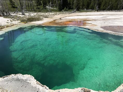 This Brilliant Turquoise Geyser Pool Near West Thumb Geyser Basin