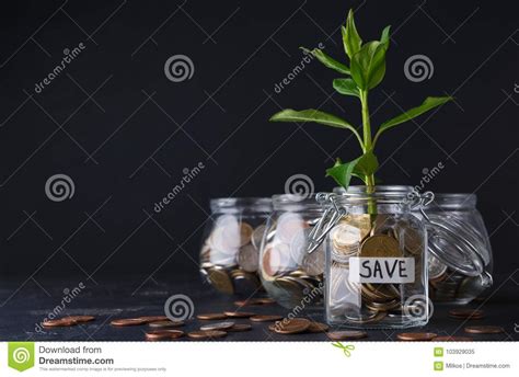 Planta Que Cresce Em Moedas No Frasco De Vidro Imagem De Stock Imagem