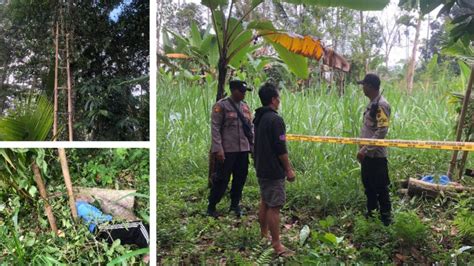 Hendak Petik Daun Sirih Pekak Kenceng Tewas Terjatuh Dari Pohon Nangka