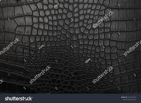 Black Crocodile Skin Background Texture Stock Photo 1610218441 | Shutterstock