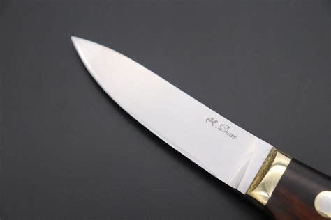 hiroshi saito sh  natural elegant hunter