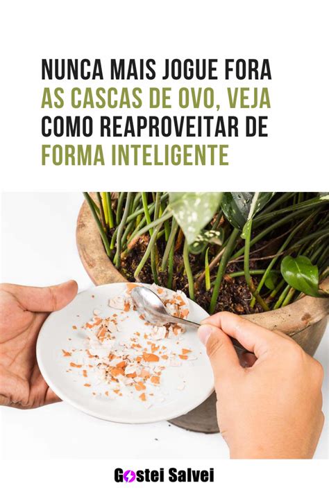 Nunca Mais Jogue Fora As Cascas De Ovo Veja Como Reaproveitar De Forma