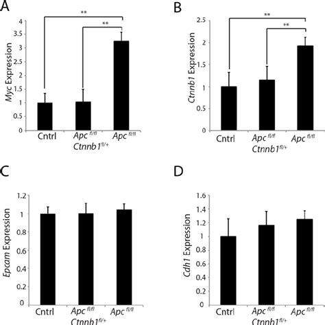 Effects Of Hemizygous Ctnnb Dosage On Myc And Ctnnb Transcript Levels