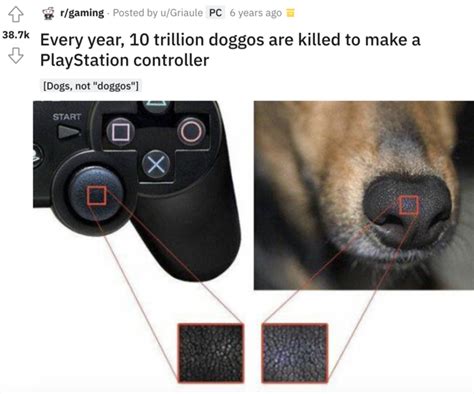 Dog Nose And Playstation Controller Meme Is It Really Worth It