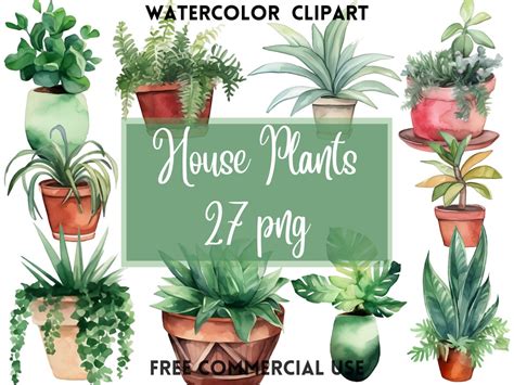 Watercolor House Plants Clipart 27 Png Indoor Plants Clip Art Digital Download Watercolor