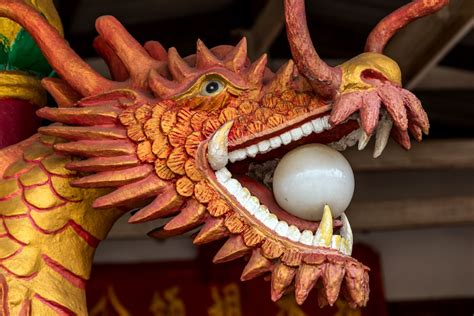 Chinese Dragon Sculpture Head