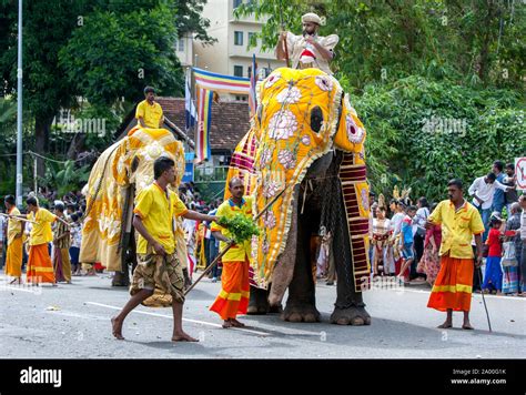 A Beautifully Dressed Ceremonial Elephant Parades Along A Street In
