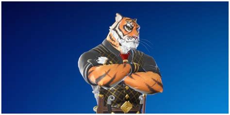 The Best Cat Skins In Fortnite